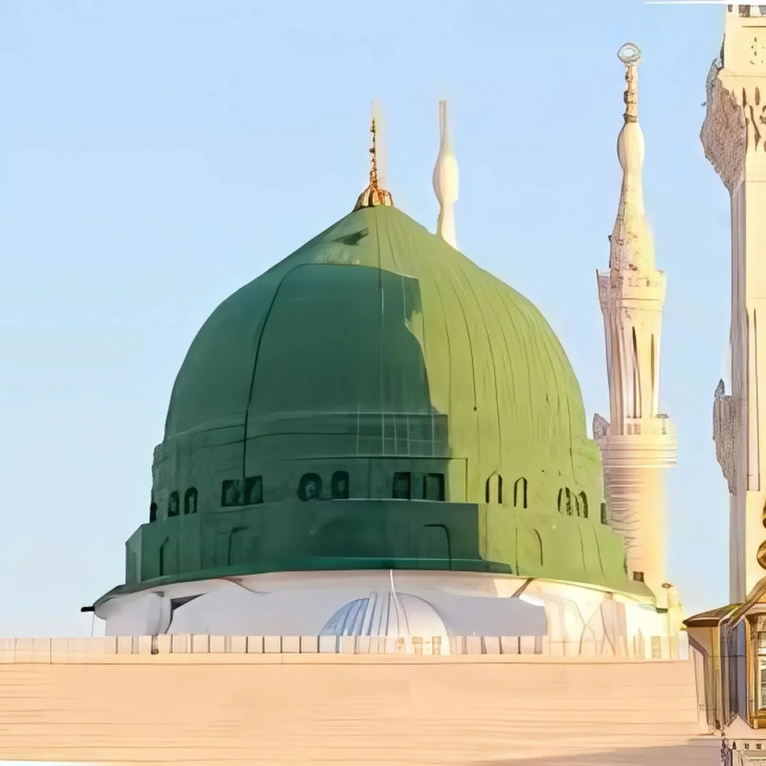 Nabvi tours Images for website 2