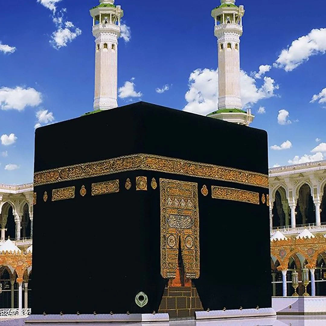 Nabvi tours Images for website 3